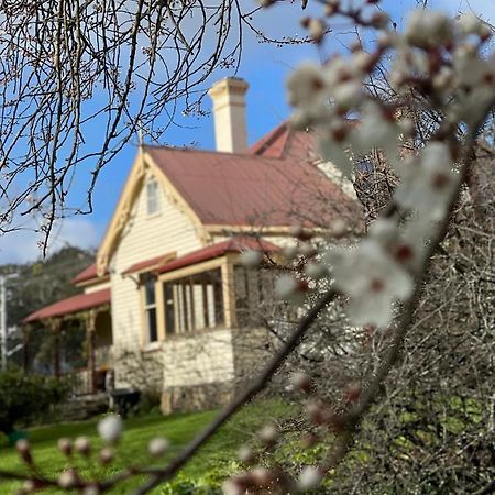 Bed and Breakfast Cambridge House Breakfast & Bed Geeveston Exterior foto