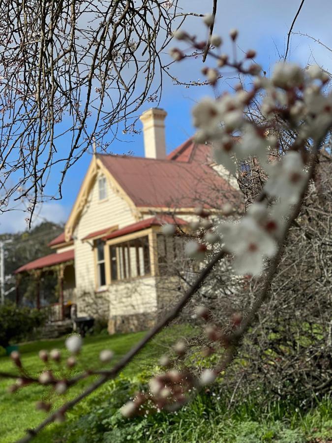 Bed and Breakfast Cambridge House Breakfast & Bed Geeveston Exterior foto