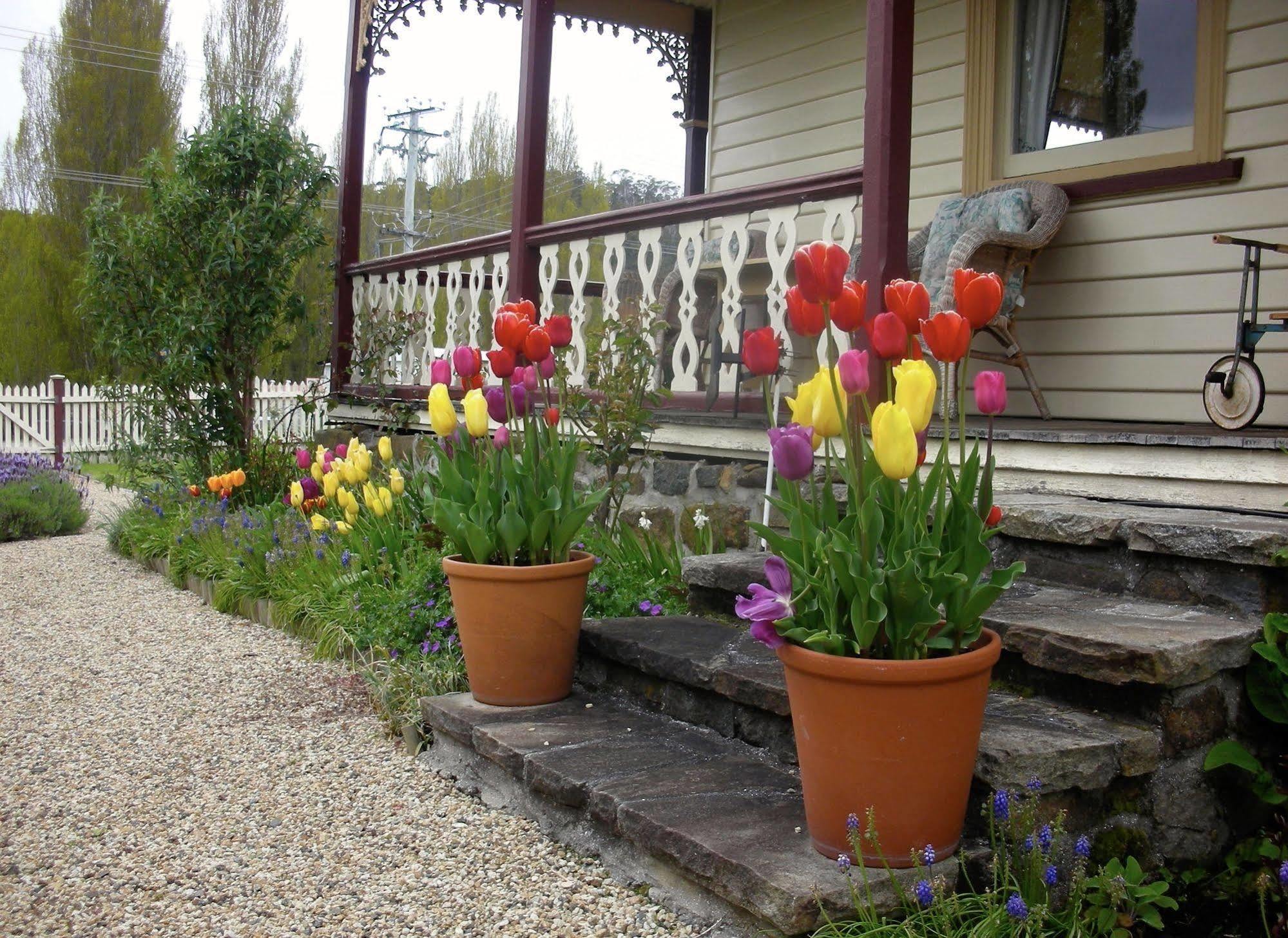 Bed and Breakfast Cambridge House Breakfast & Bed Geeveston Exterior foto